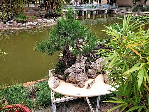 KUNMING - Parc Daguan - 121